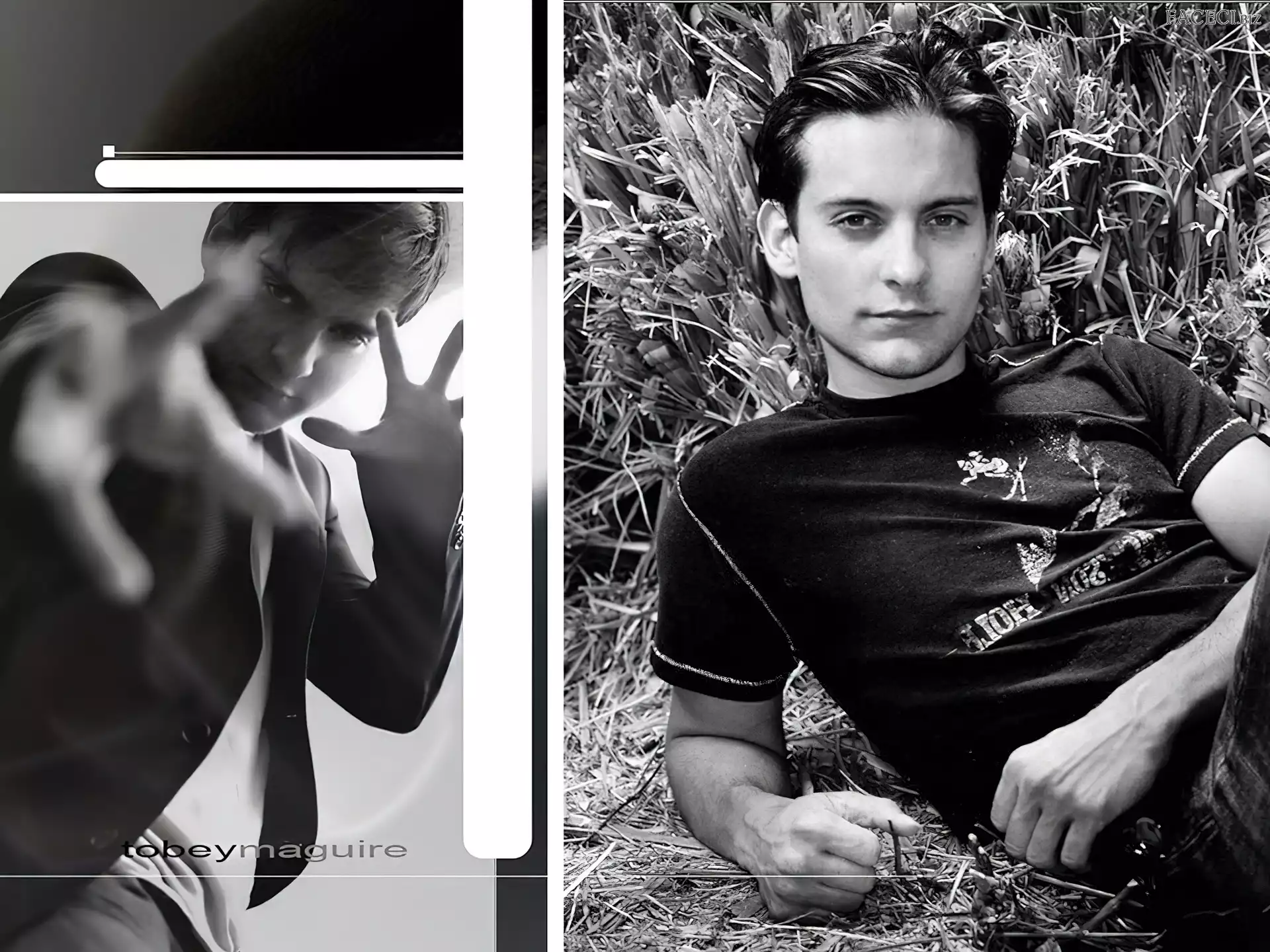 Aktor, Tobey Maguire